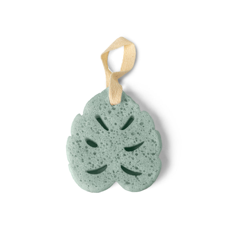 In The Buff Sudsy Soap Sponge