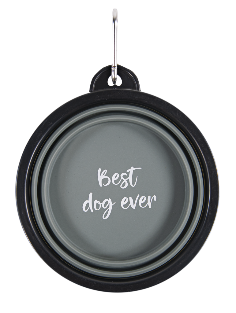 Collapsible Pet Bowl