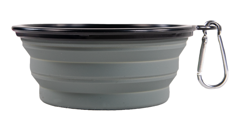 Collapsible Pet Bowl