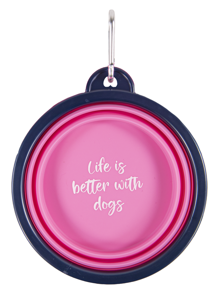 Collapsible Pet Bowl