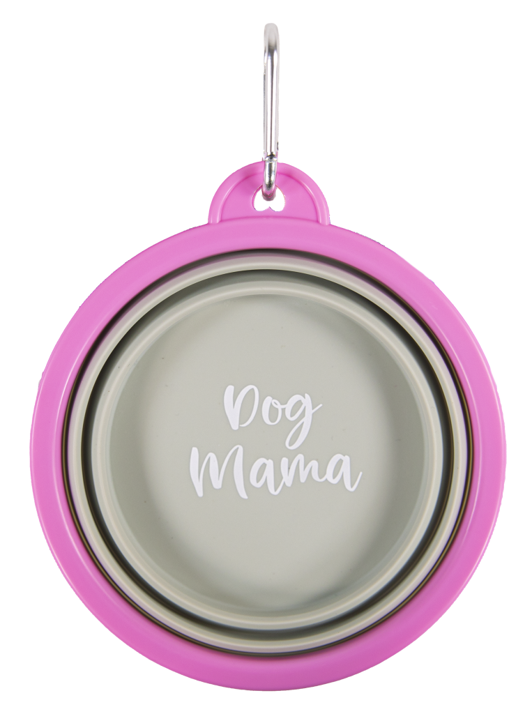 Collapsible Pet Bowl