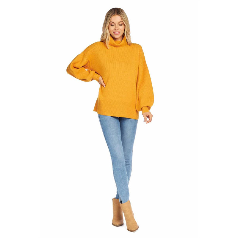 Roxie Turtleneck Sweater *FINAL SALE*