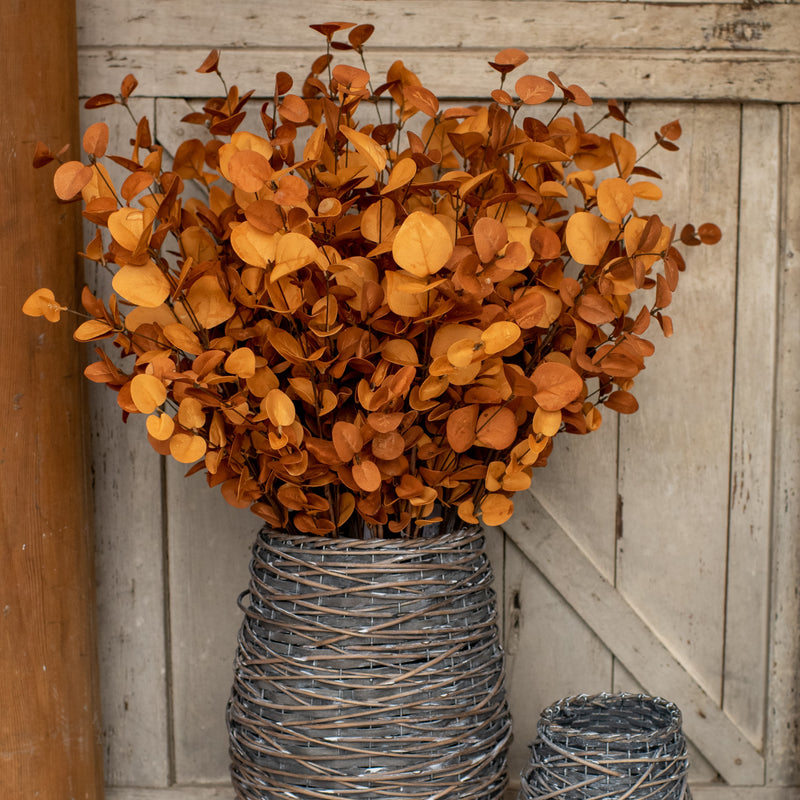 Fall Eucalyptus (36")