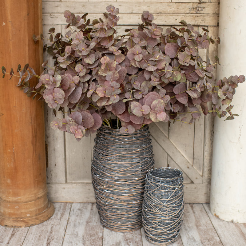 Fall Eucalyptus (36")