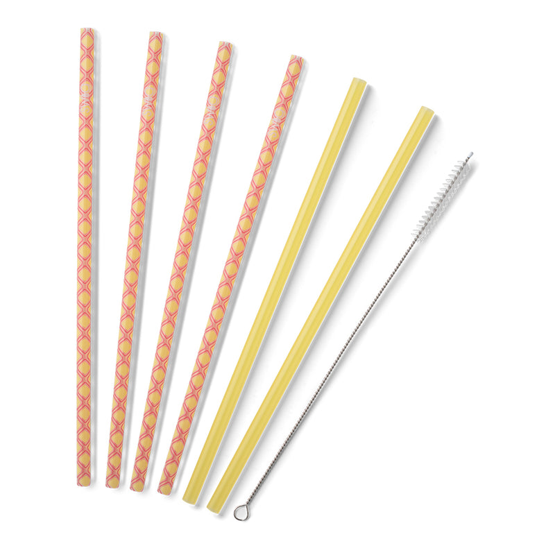 Reusable Straw Set