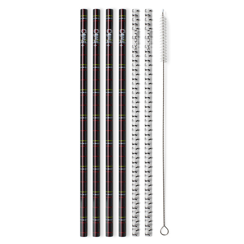Reusable Straw Set