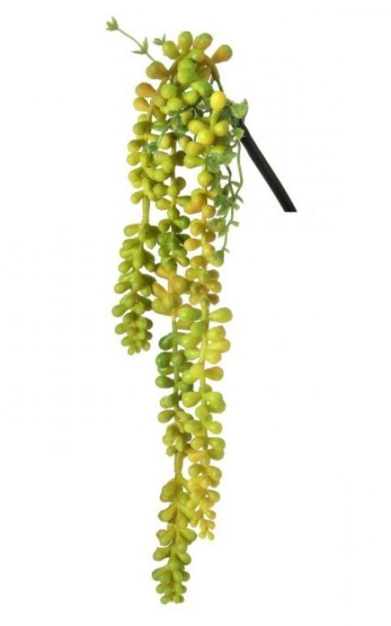 Golden Hanging Succulent Pick-Regency-Sandy&