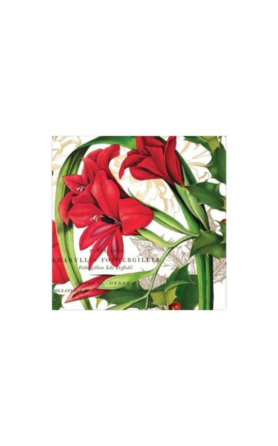 Michel Design Works Holiday Napkins-Michel Design Works-Sandy&