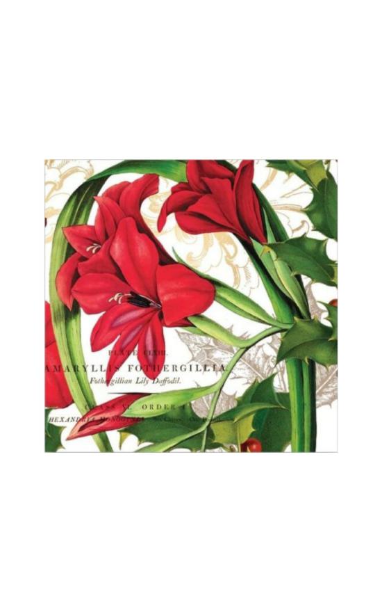 Michel Design Works Holiday Napkins-Michel Design Works-Sandy&