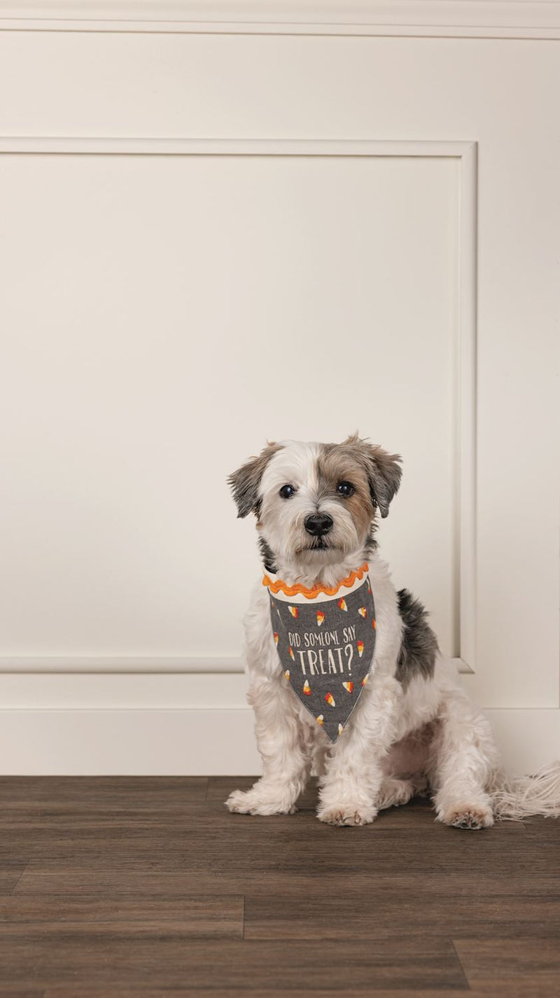Multi Holiday Pet Bandana