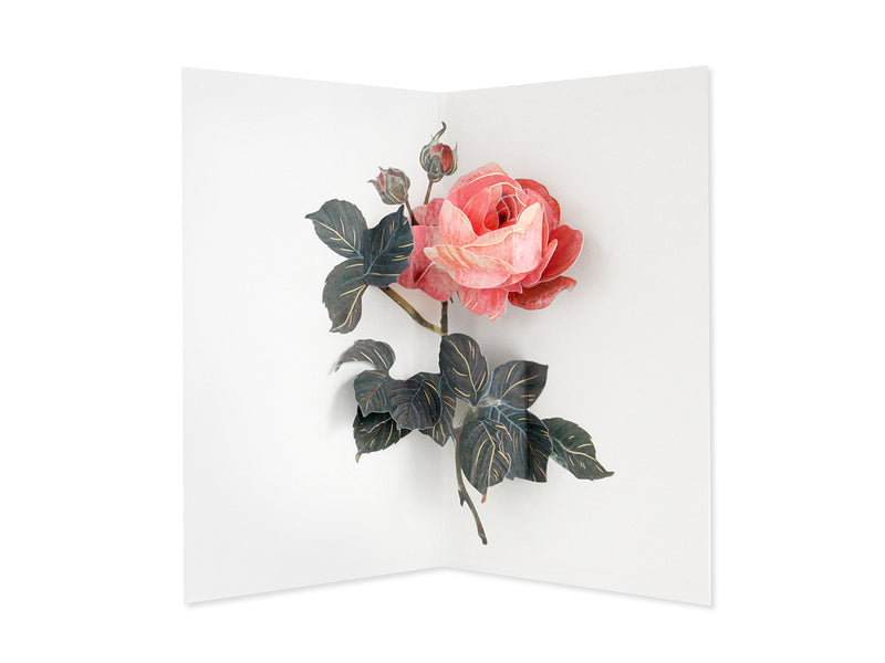 Rose Artisan Series Greeting Card