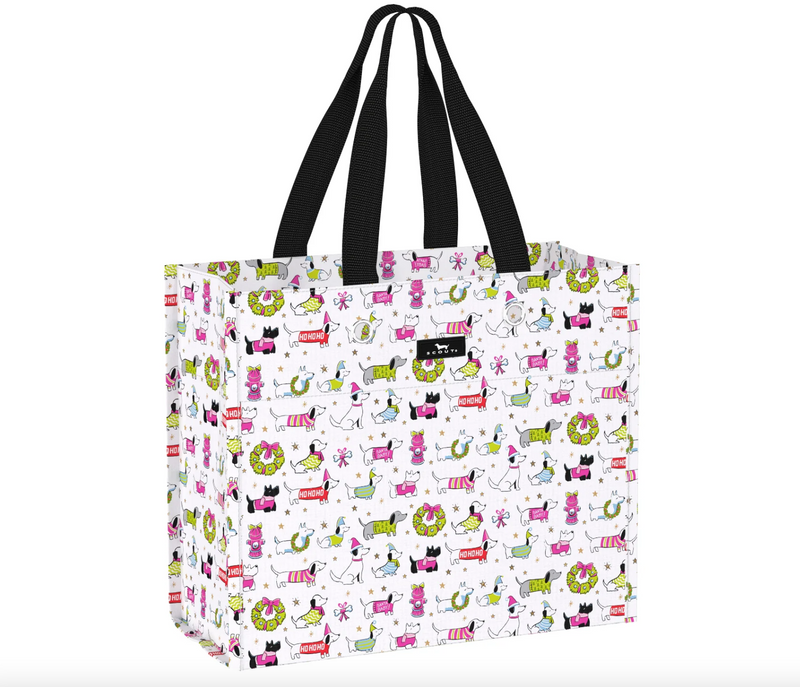 Large Package Gift Bag