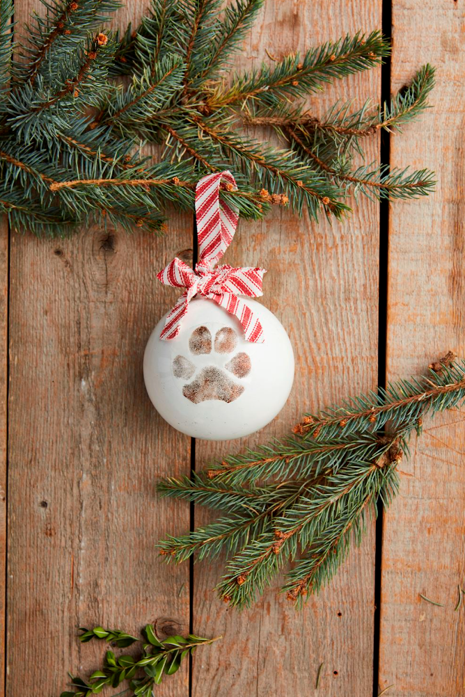 Paw Print Ornament Kit