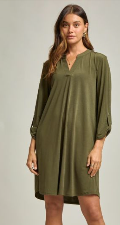Classic Lizzy Solid Dress