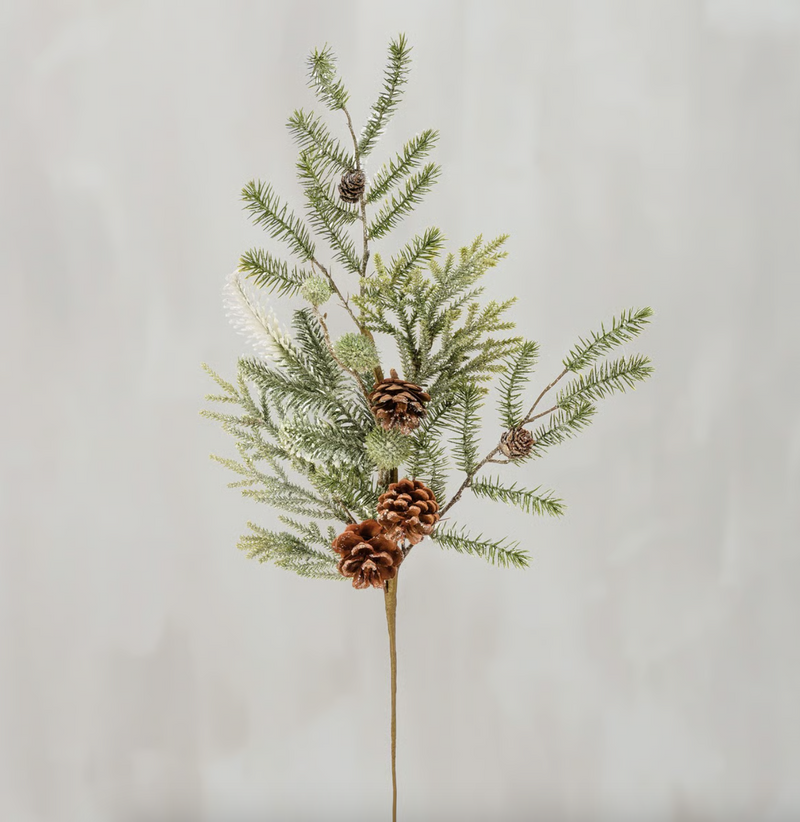 Mixed Evergreens