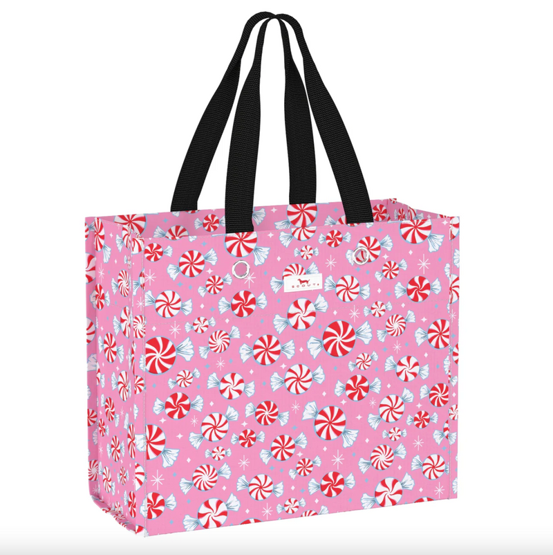 Large Package Gift Bag