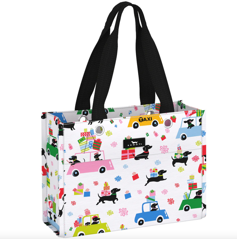 Tiny Package Gift Bag