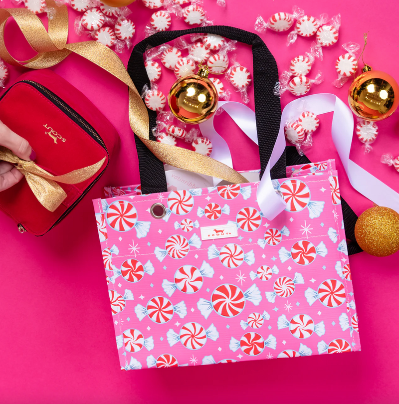 Tiny Package Gift Bag