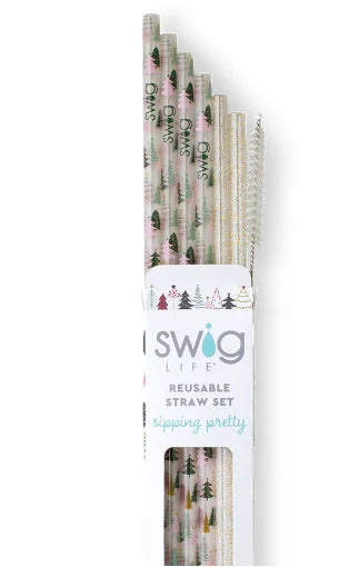 Reusable Straw Set