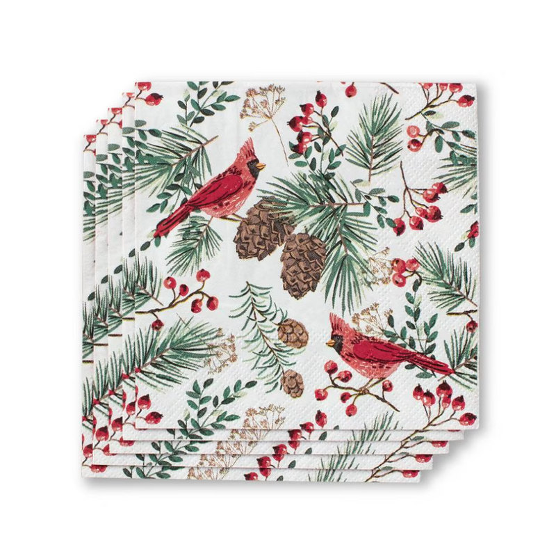 Winter Cardinals
