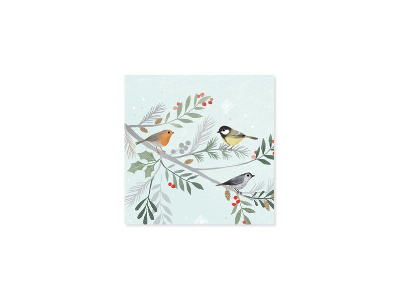 Winter Birds Pop-Up Greeting Card