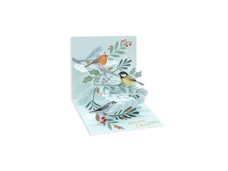 Winter Birds Pop-Up Greeting Card