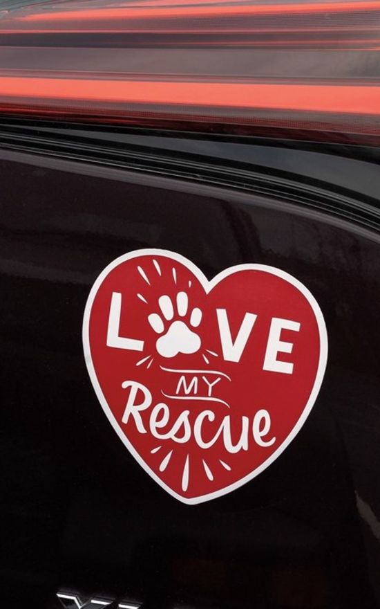 Love My Rescue Car Magnet