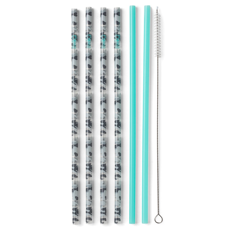 Reusable Straw Set