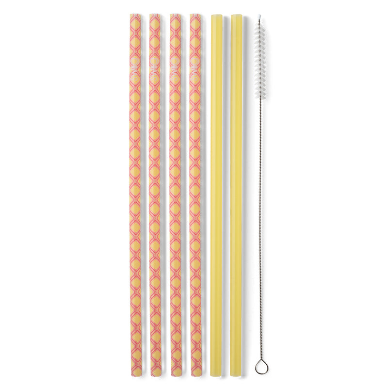 Reusable Straw Set