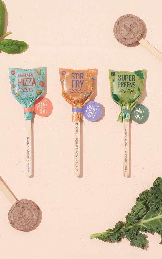 Modern Sprout Seed Lollipop-Modern Sprout-Sandy&