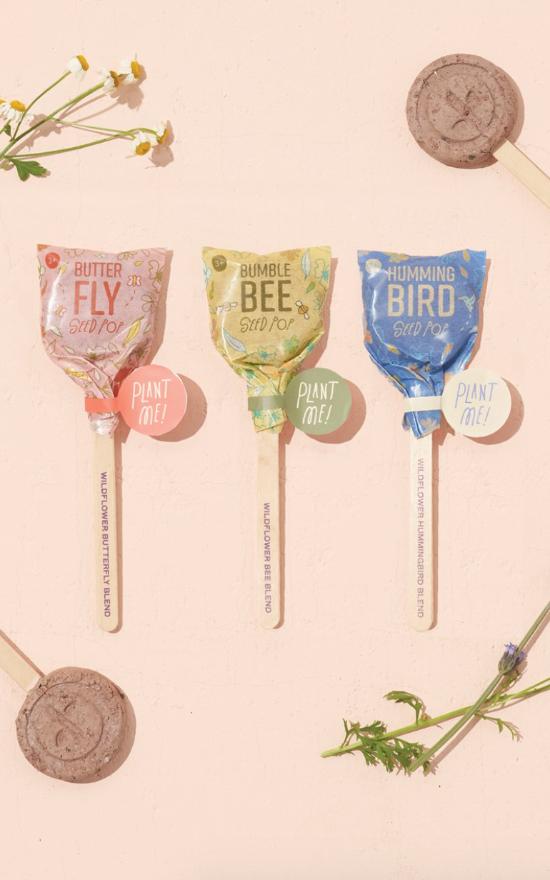 Modern Sprout Seed Lollipop-Modern Sprout-Sandy&