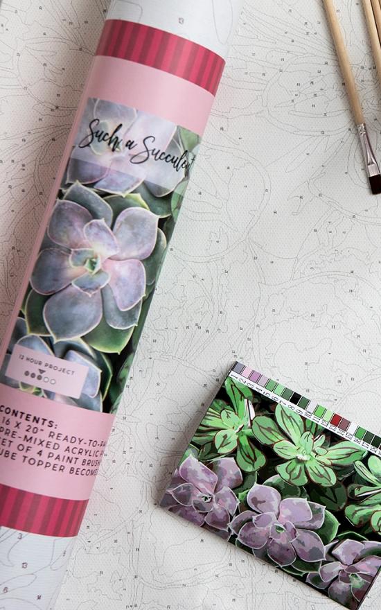 Such A Succulent Painting Kit-Pink Picasso Kits-Sandy&